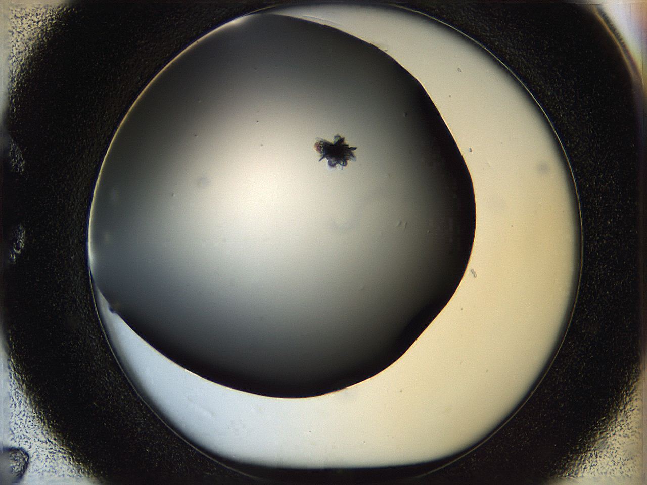 05n5_C7_ImagerDefaults_7.jpg