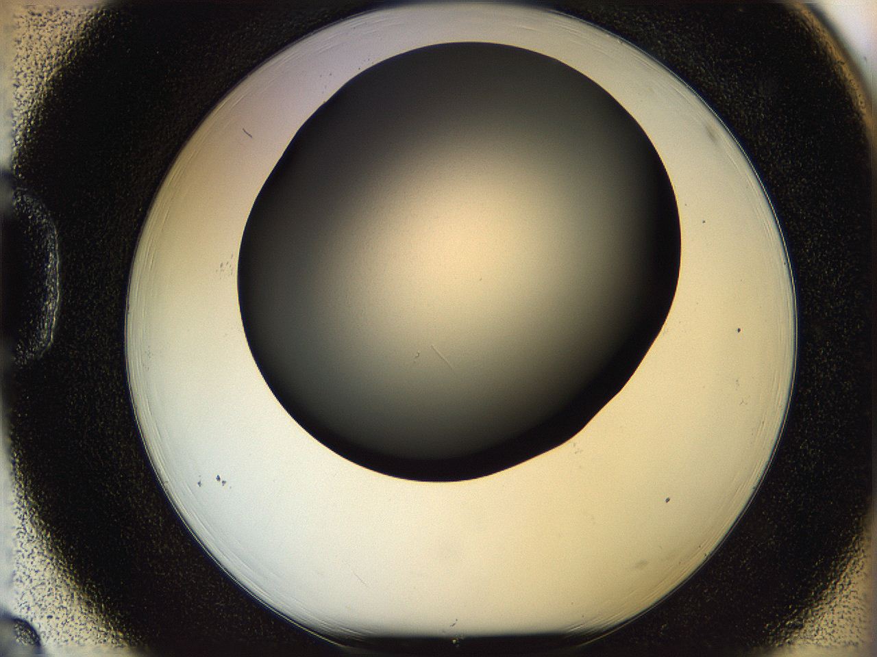 05n5_D3_ImagerDefaults_0.jpg