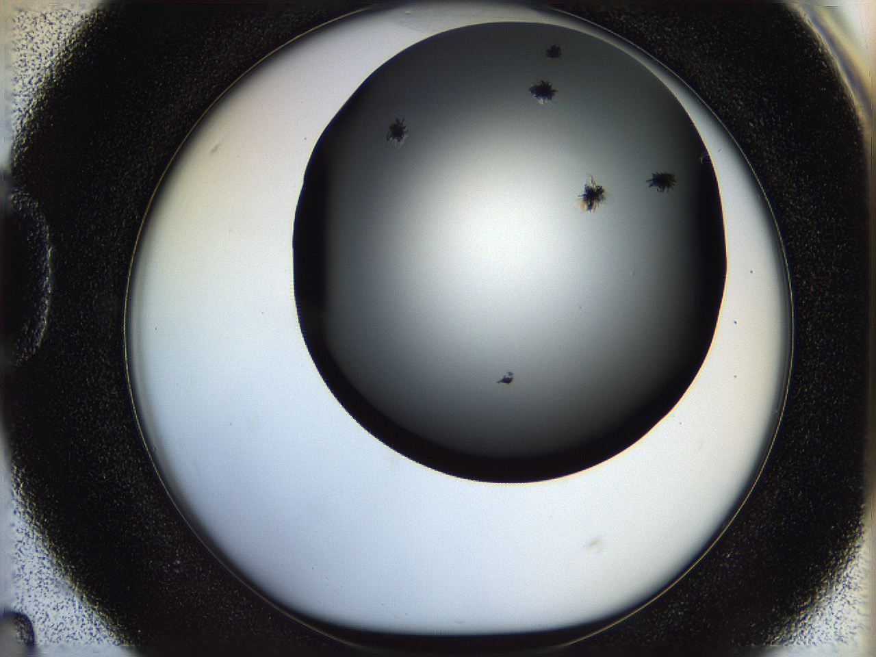 05n5_D4_ImagerDefaults_6.jpg