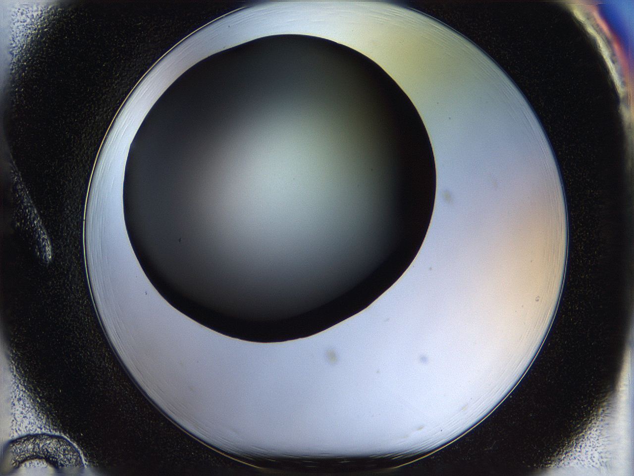 05n5_A12_ImagerDefaults_0.jpg