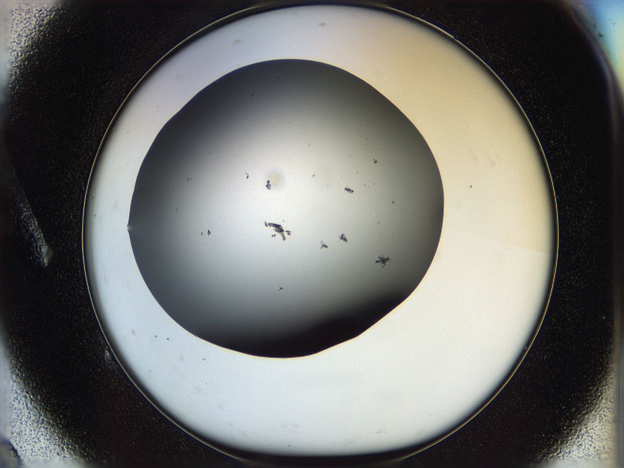05n5_A9_ImagerDefaults_6.jpg