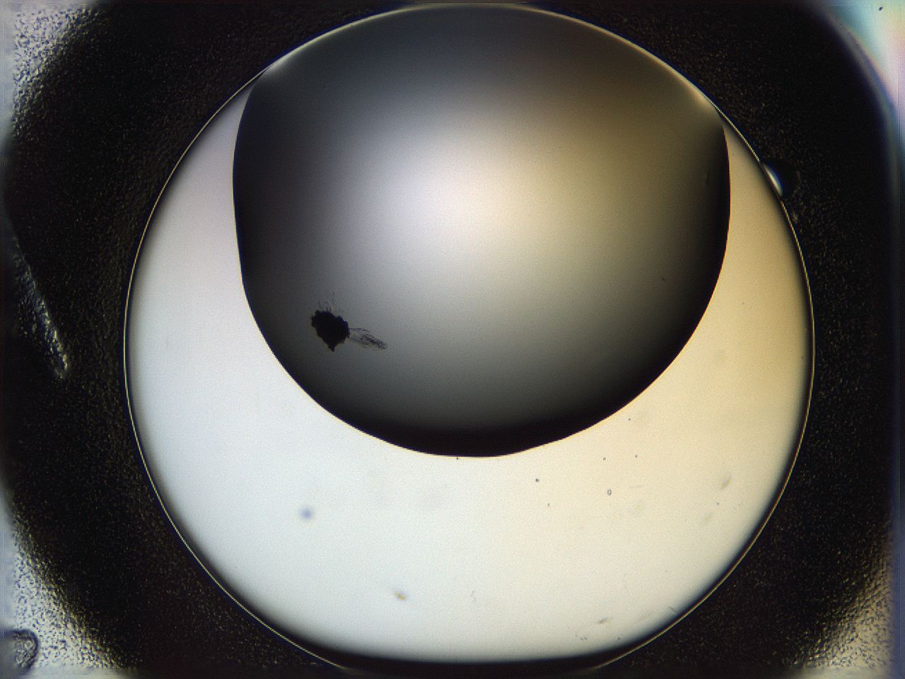 05n5_A7_ImagerDefaults_1.jpg