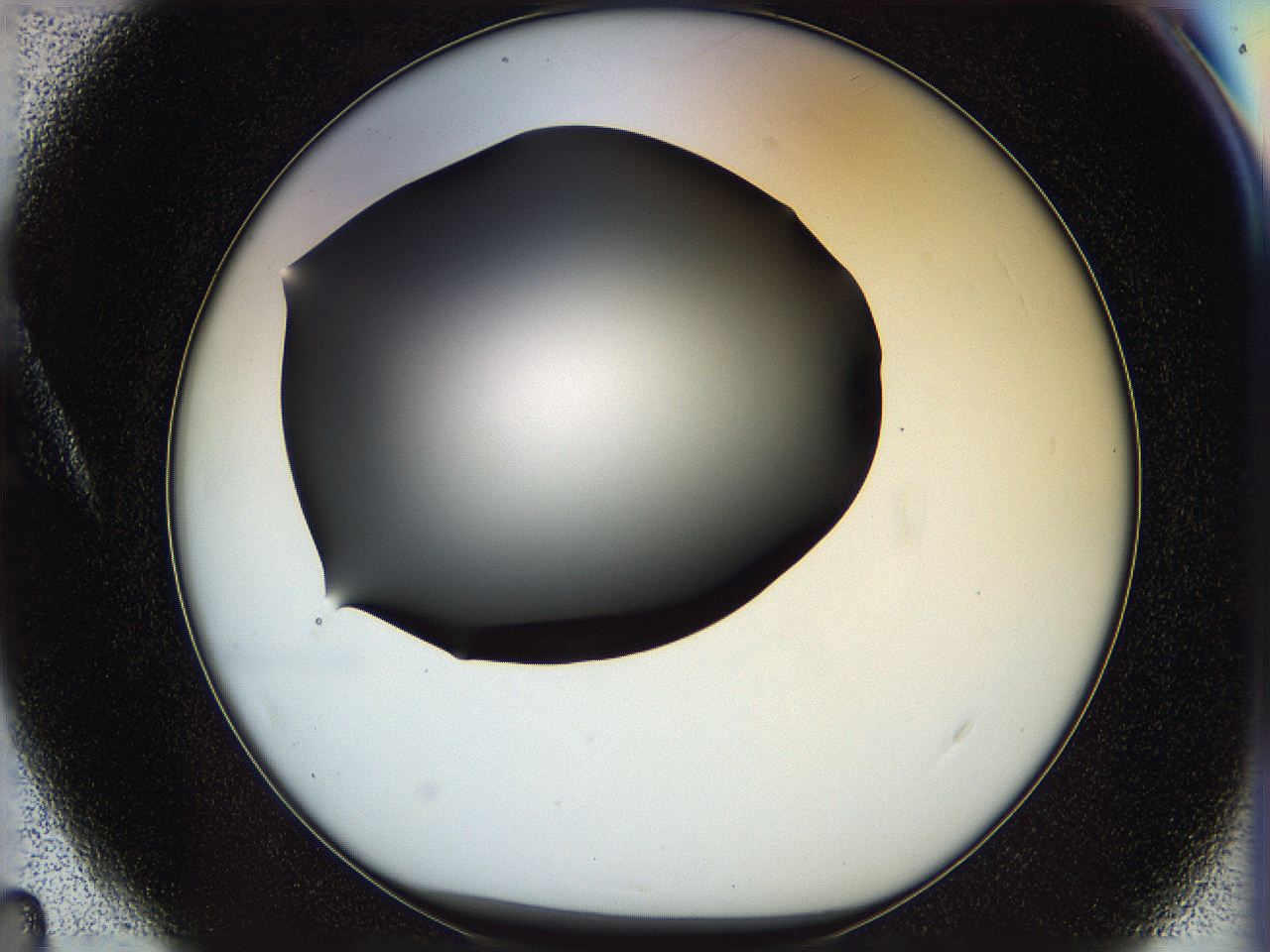 05n5_A4_ImagerDefaults_0.jpg