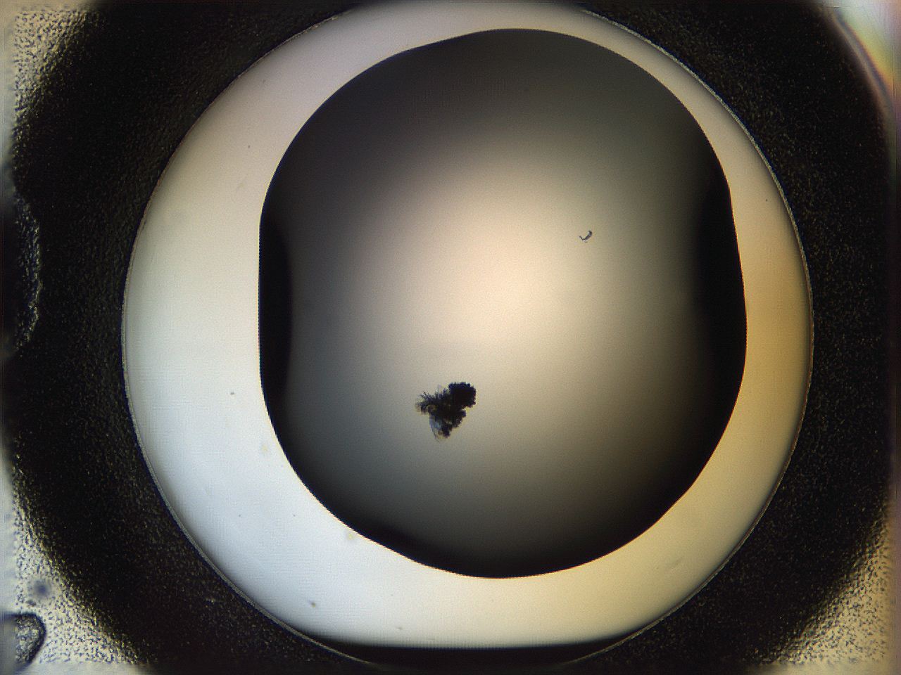 05n5_D7_ImagerDefaults_6.jpg