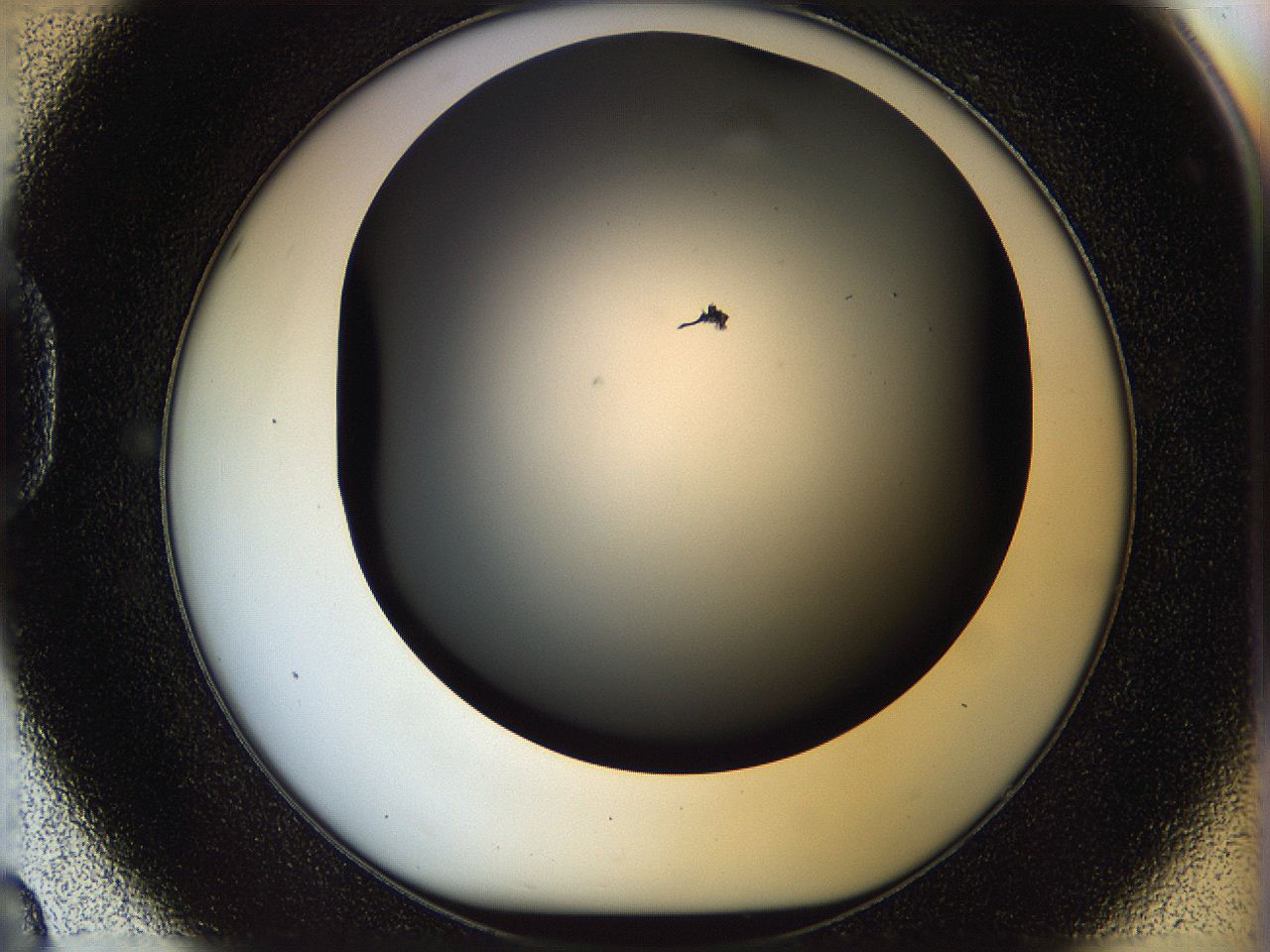 05n5_D8_ImagerDefaults_6.jpg