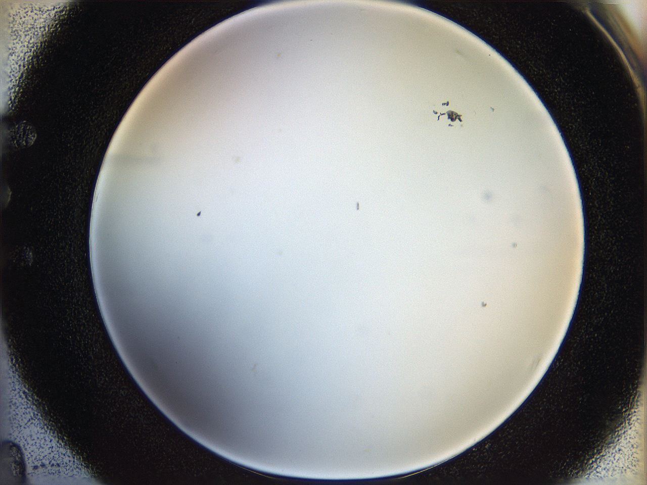 05n5_E4_ImagerDefaults_1.jpg