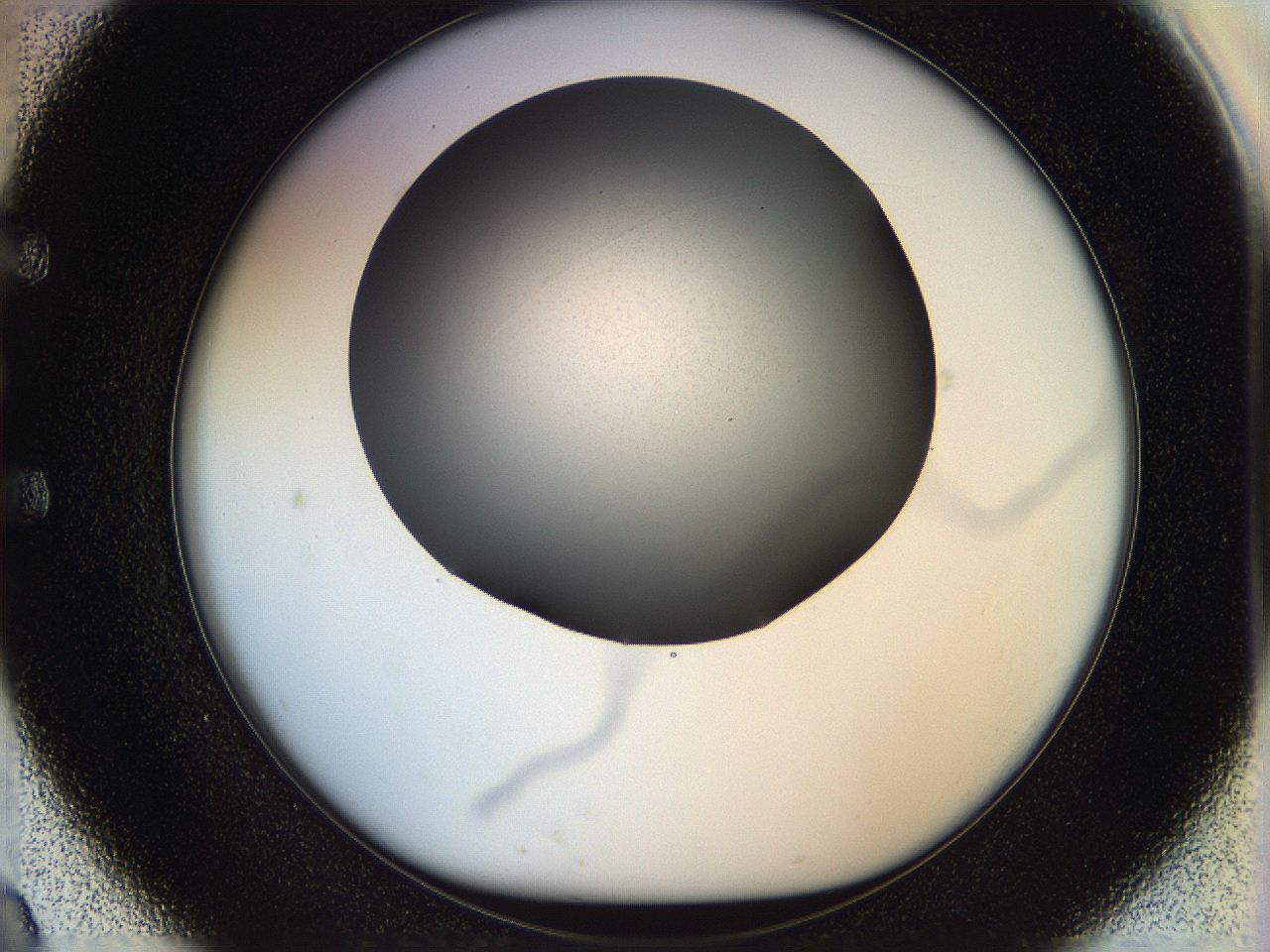 05n5_E9_ImagerDefaults_0.jpg