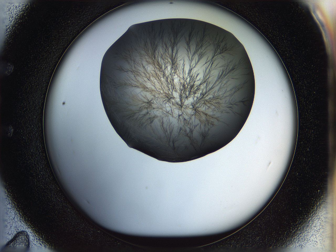 05n5_E11_ImagerDefaults_6.jpg