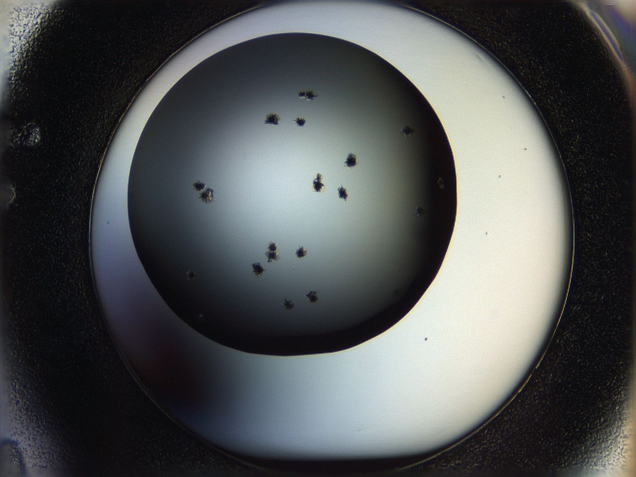 05n5_F4_ImagerDefaults_6.jpg