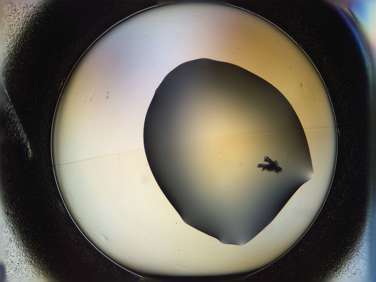 05n5_A1_ImagerDefaults_1.jpg