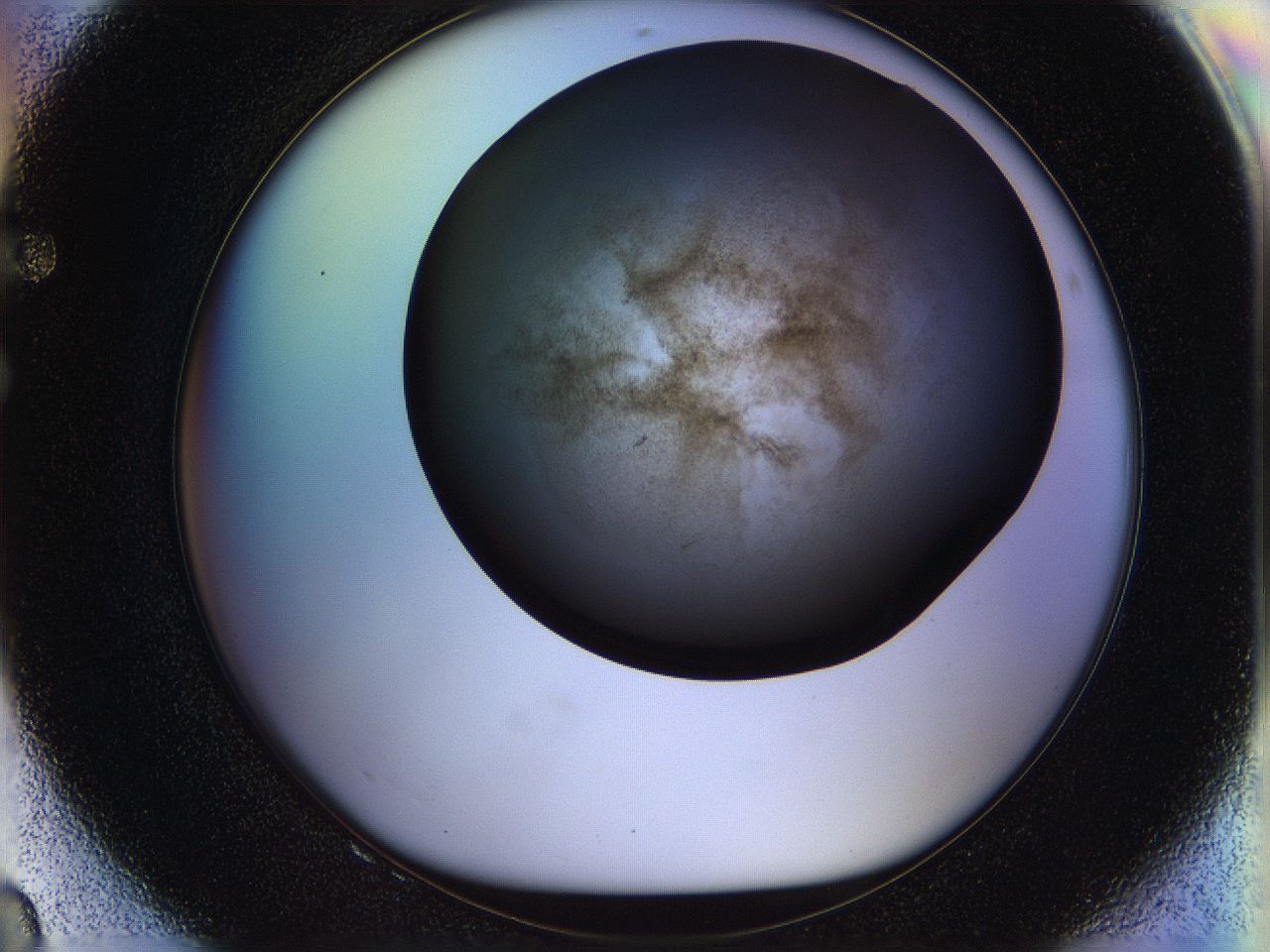 05n5_F8_ImagerDefaults_2.jpg