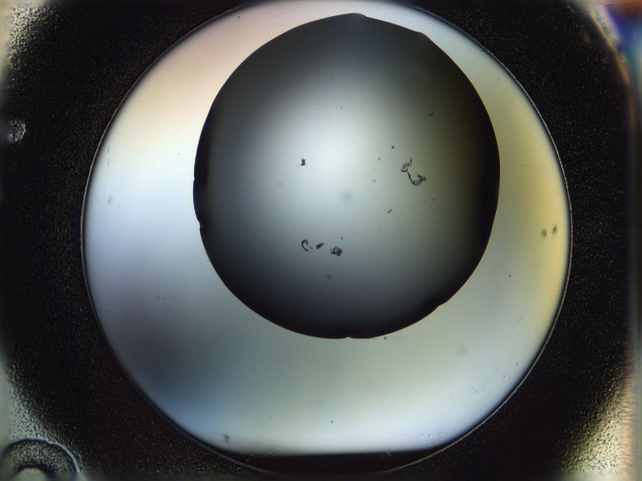 05n5_F10_ImagerDefaults_1.jpg