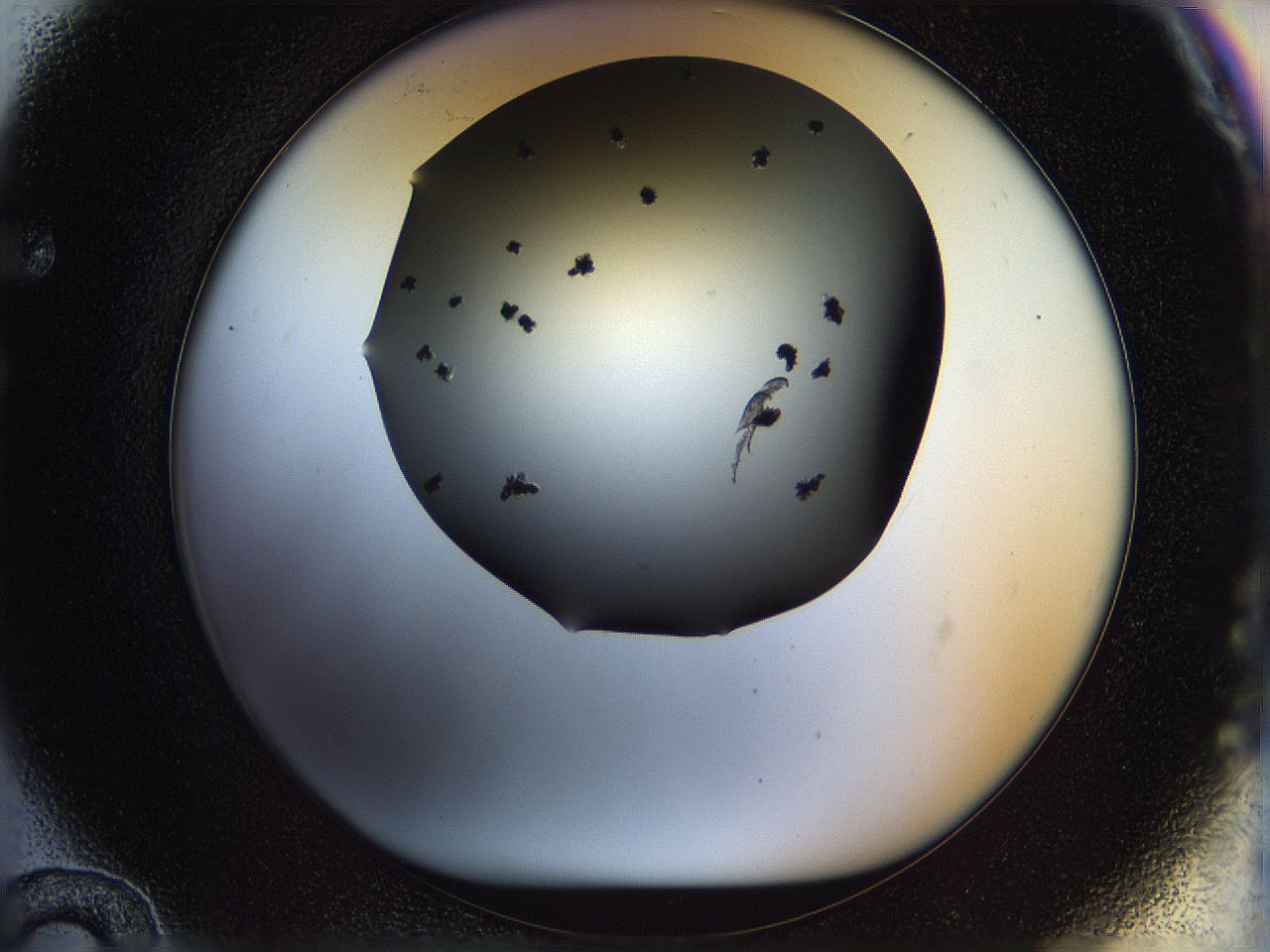 05n5_F12_ImagerDefaults_6.jpg