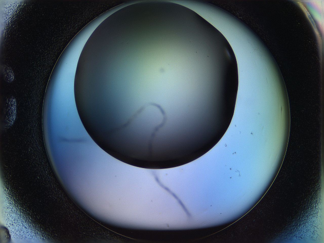 05n5_G8_ImagerDefaults_0.jpg