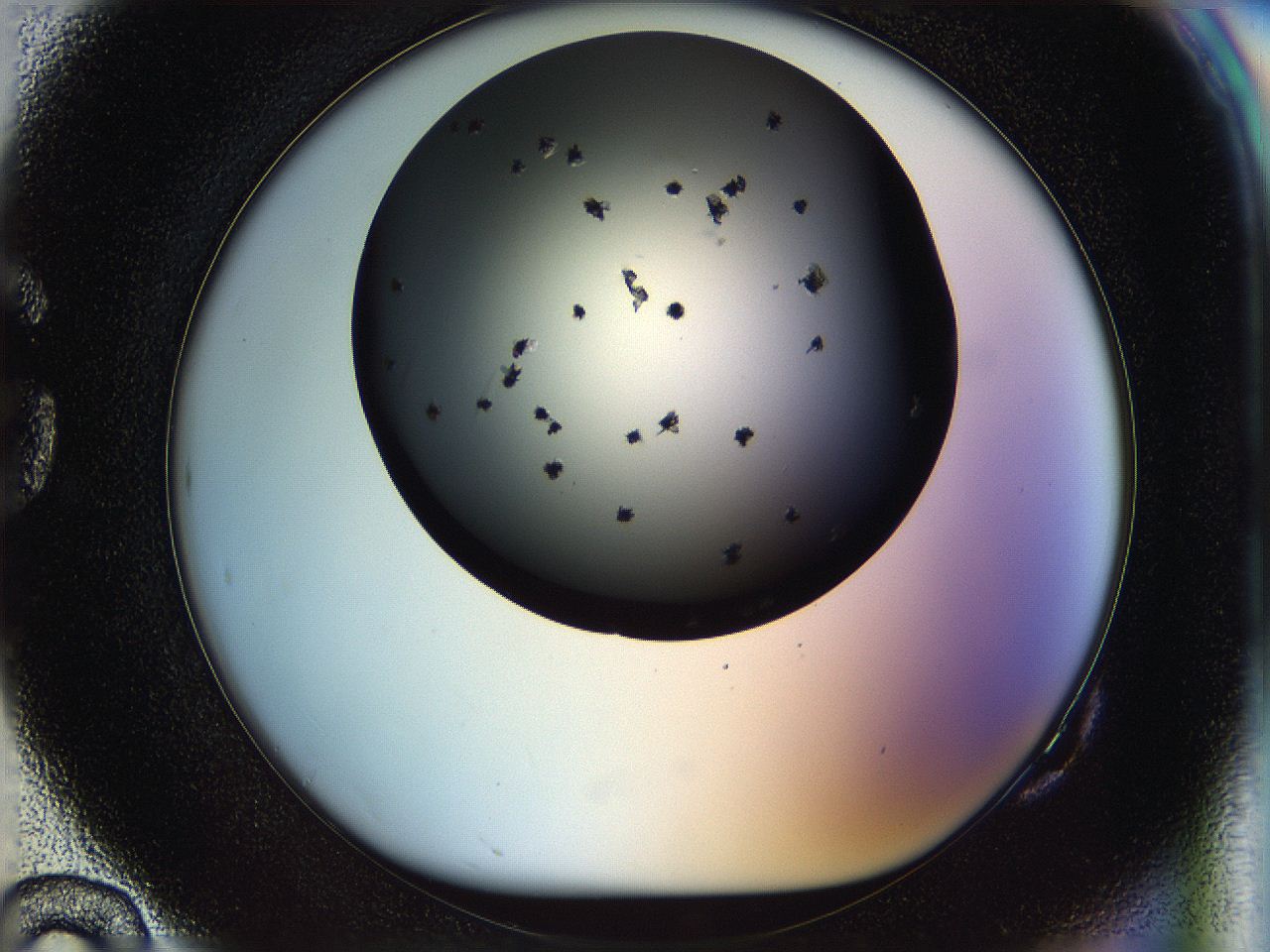 05n5_G10_ImagerDefaults_6.jpg