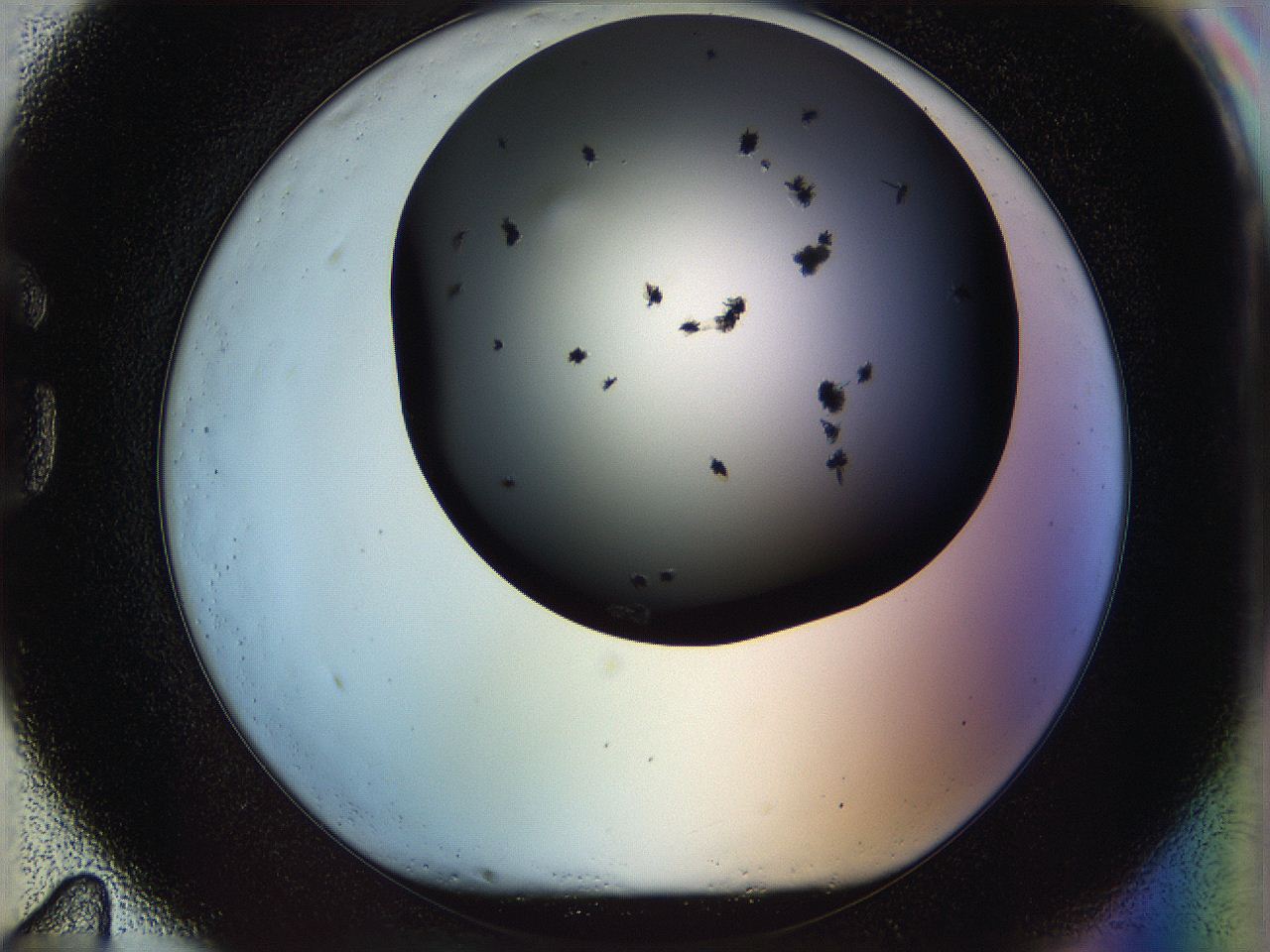 05n5_G11_ImagerDefaults_6.jpg