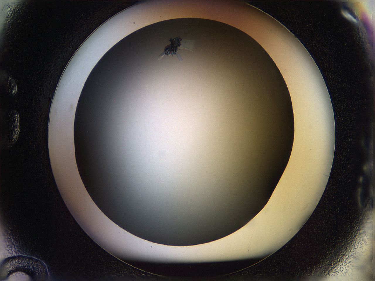 05n5_G12_ImagerDefaults_7.jpg