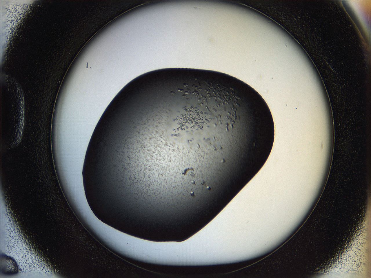 05n6_D6_ImagerDefaults_7.jpg
