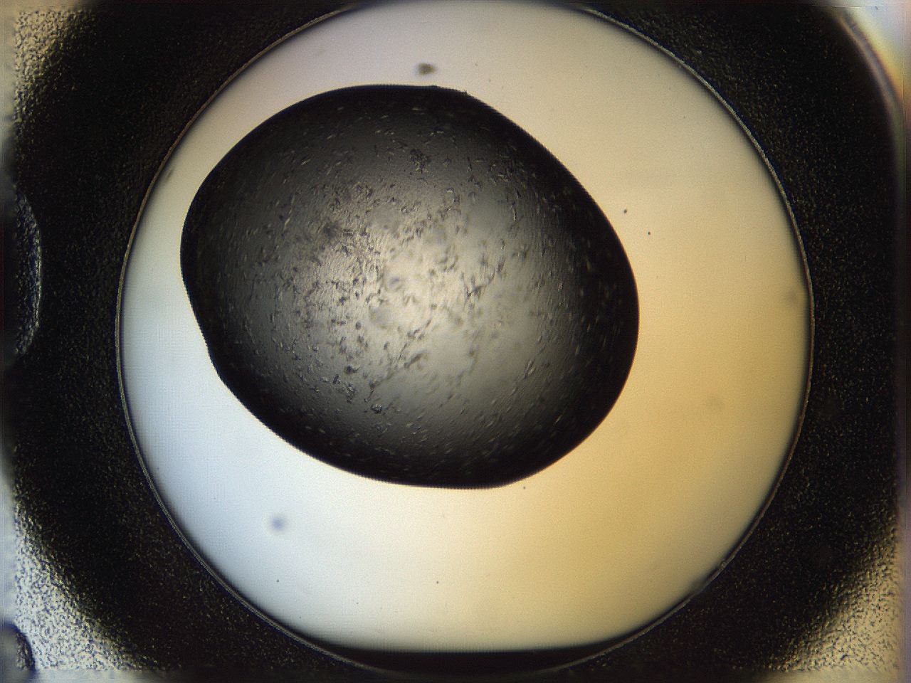 05n6_D8_ImagerDefaults_6.jpg