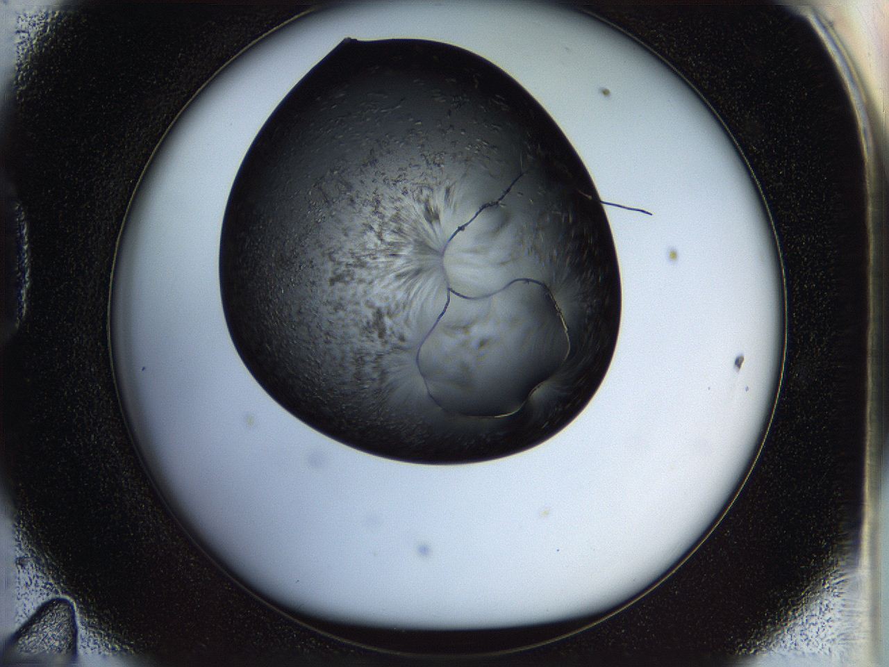 05n6_D11_ImagerDefaults_6.jpg