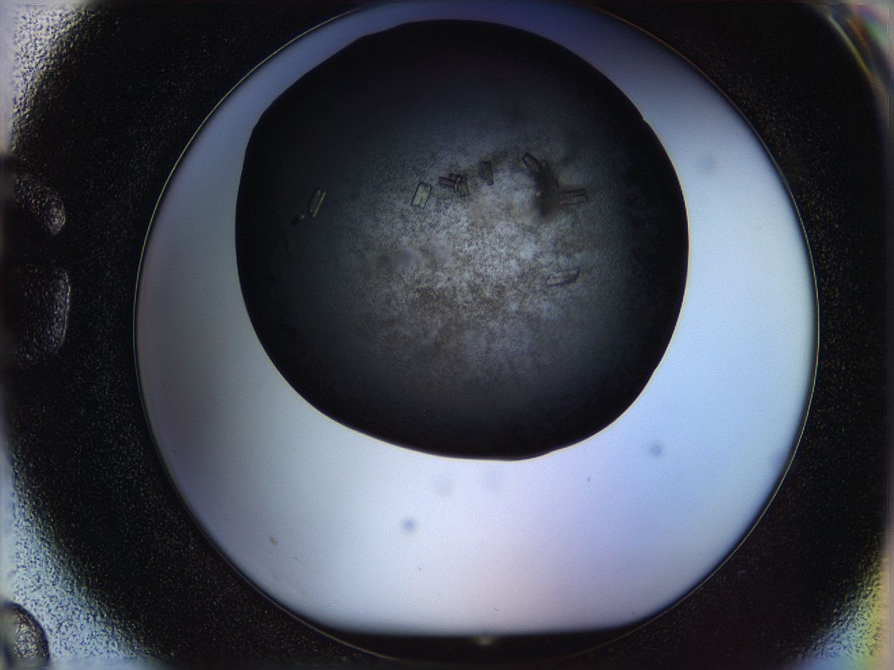 05n6_G3_ImagerDefaults_8.jpg