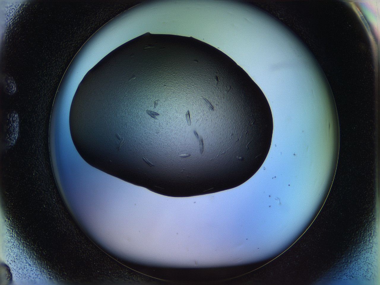 05n6_G8_ImagerDefaults_8.jpg