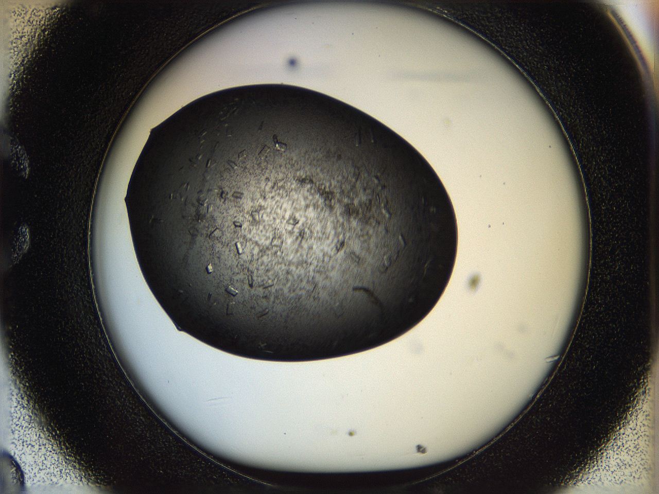 05n6_C8_ImagerDefaults_8.jpg