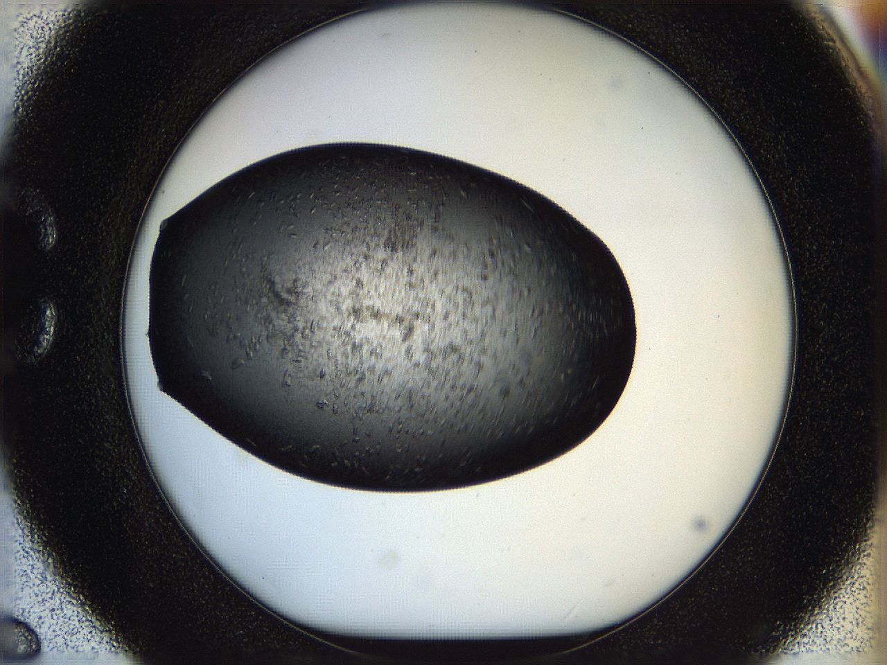 05n6_C6_ImagerDefaults_8.jpg