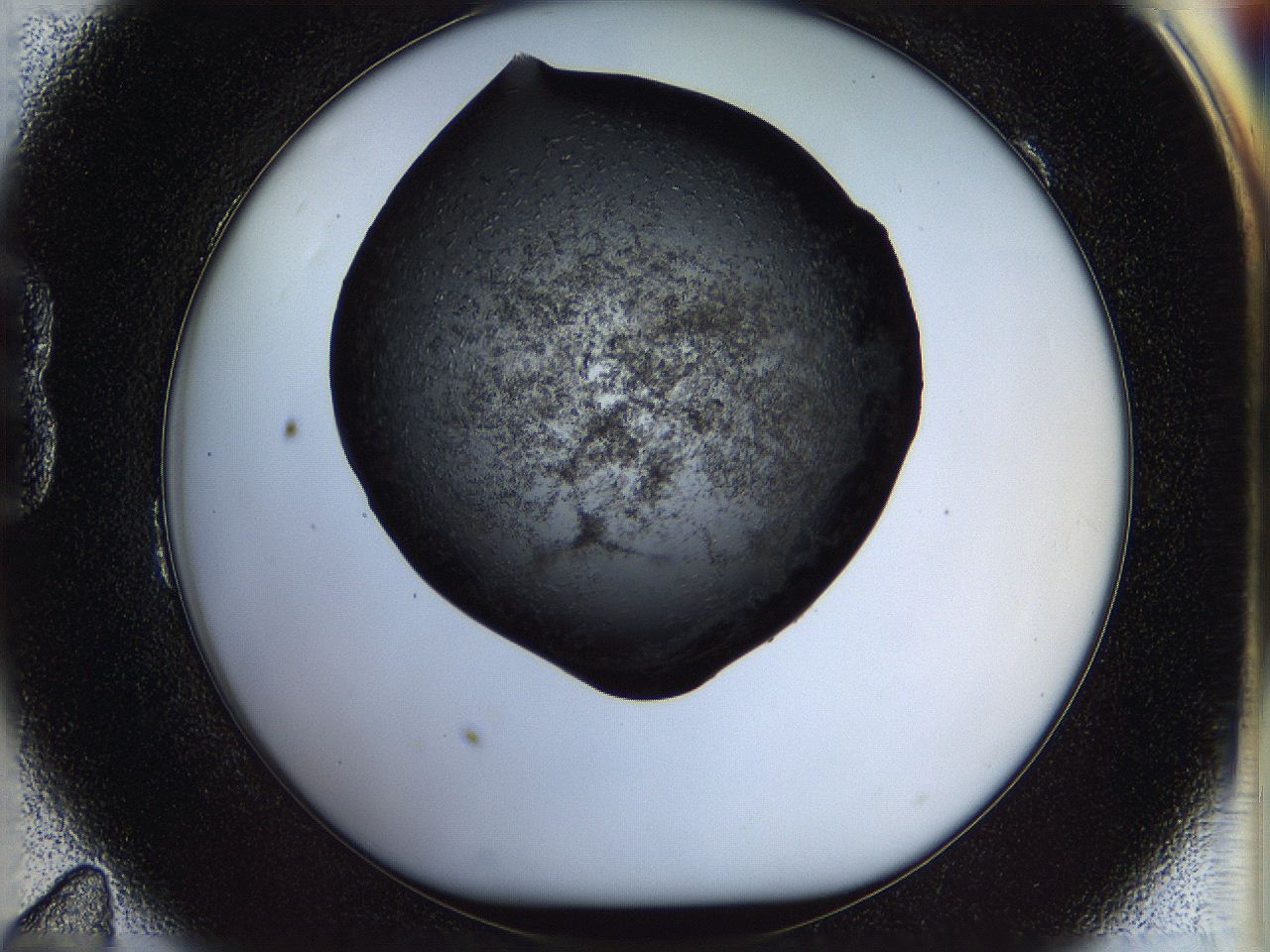05n6_B11_ImagerDefaults_6.jpg