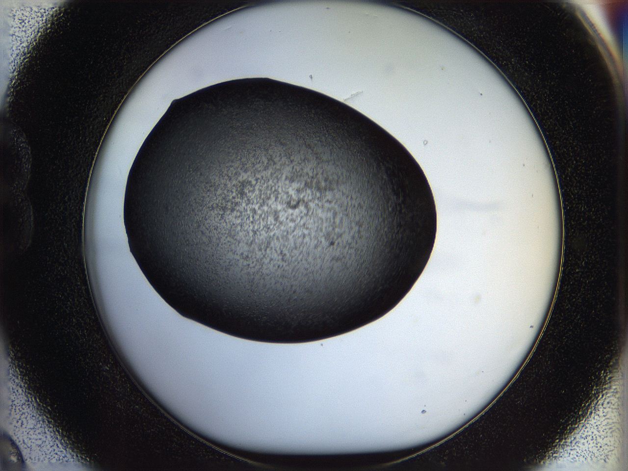 05n6_B9_ImagerDefaults_6.jpg