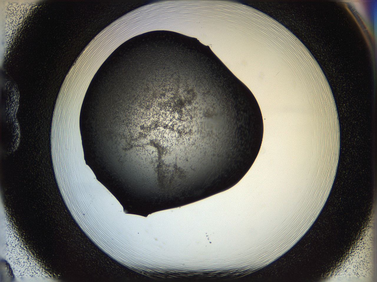 05n6_B8_ImagerDefaults_6.jpg