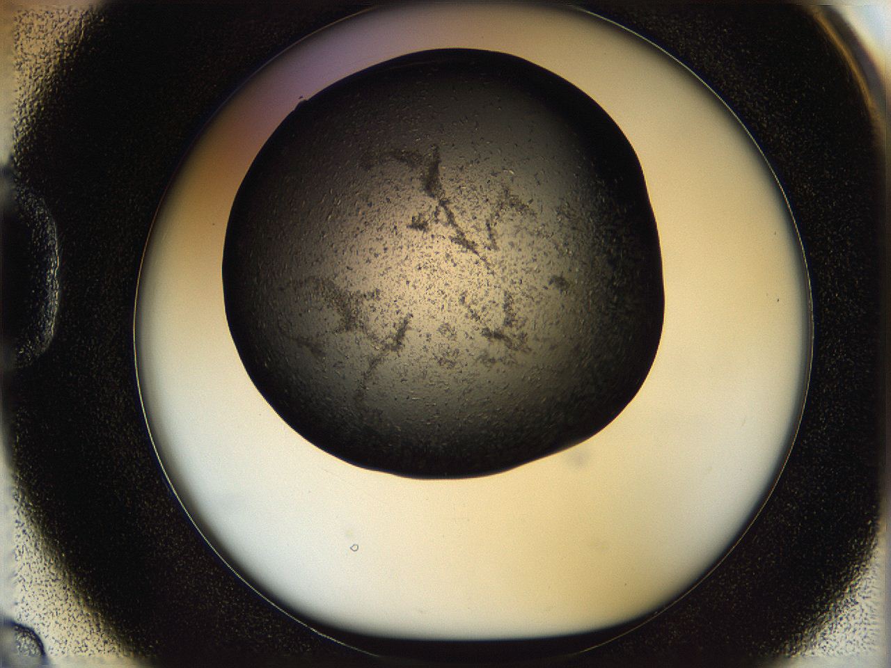 05n6_D2_ImagerDefaults_6.jpg