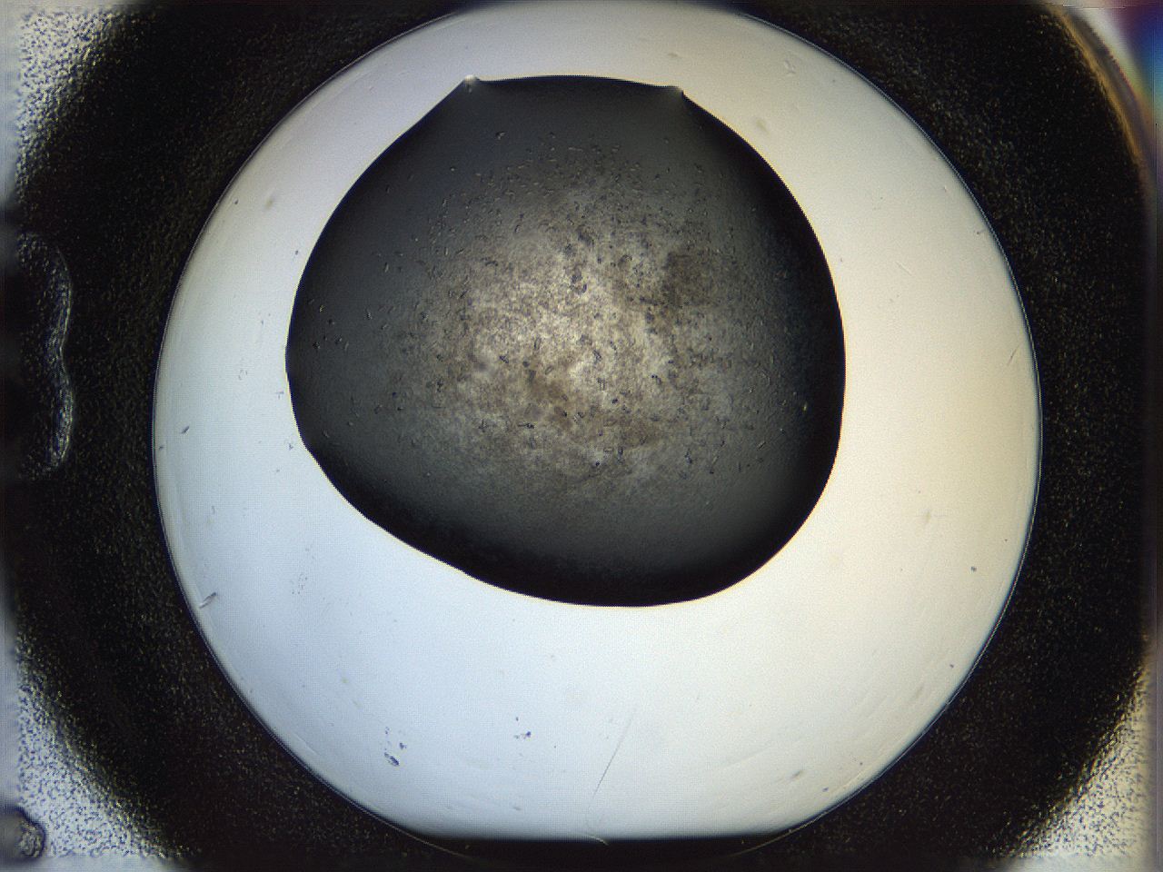 05n6_B6_ImagerDefaults_6.jpg