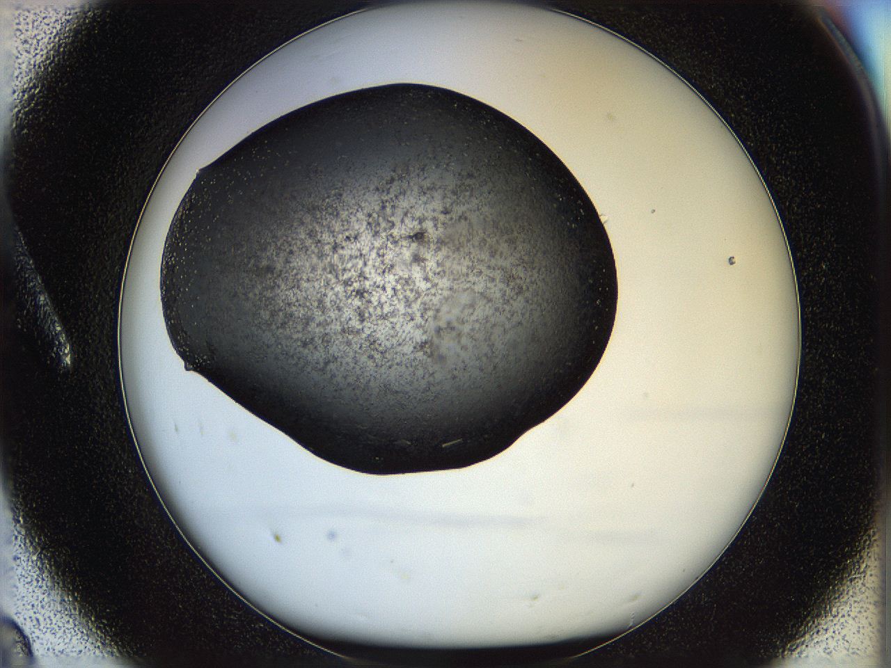 05n6_A8_ImagerDefaults_8.jpg