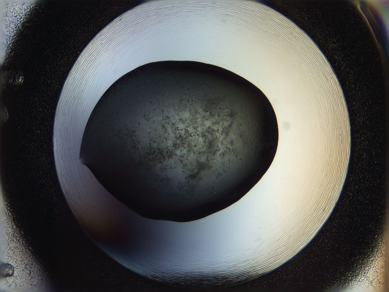 05n6_F5_ImagerDefaults_6.jpg