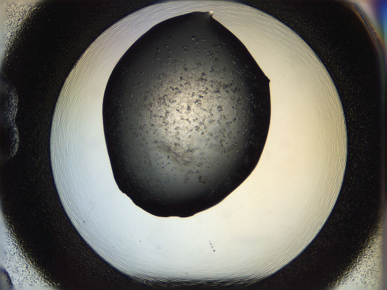 05n7_B8_ImagerDefaults_7.jpg