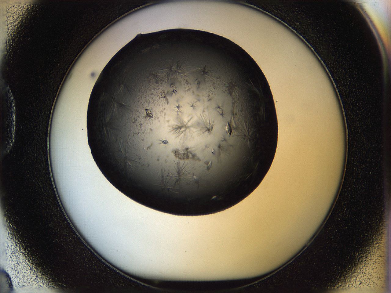 05n7_D8_ImagerDefaults_8.jpg