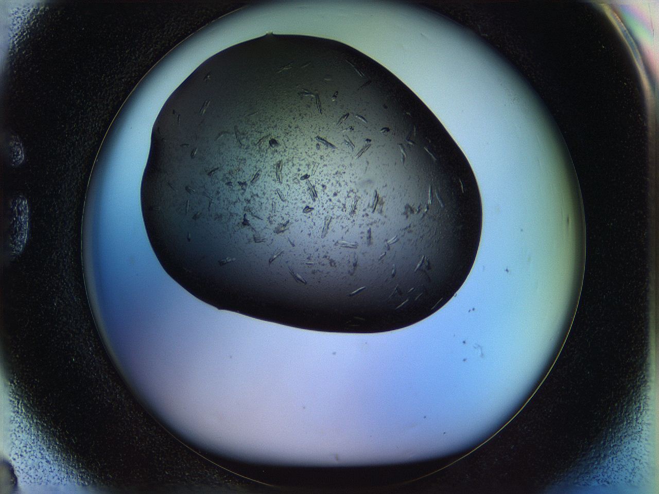 05n7_G8_ImagerDefaults_8.jpg