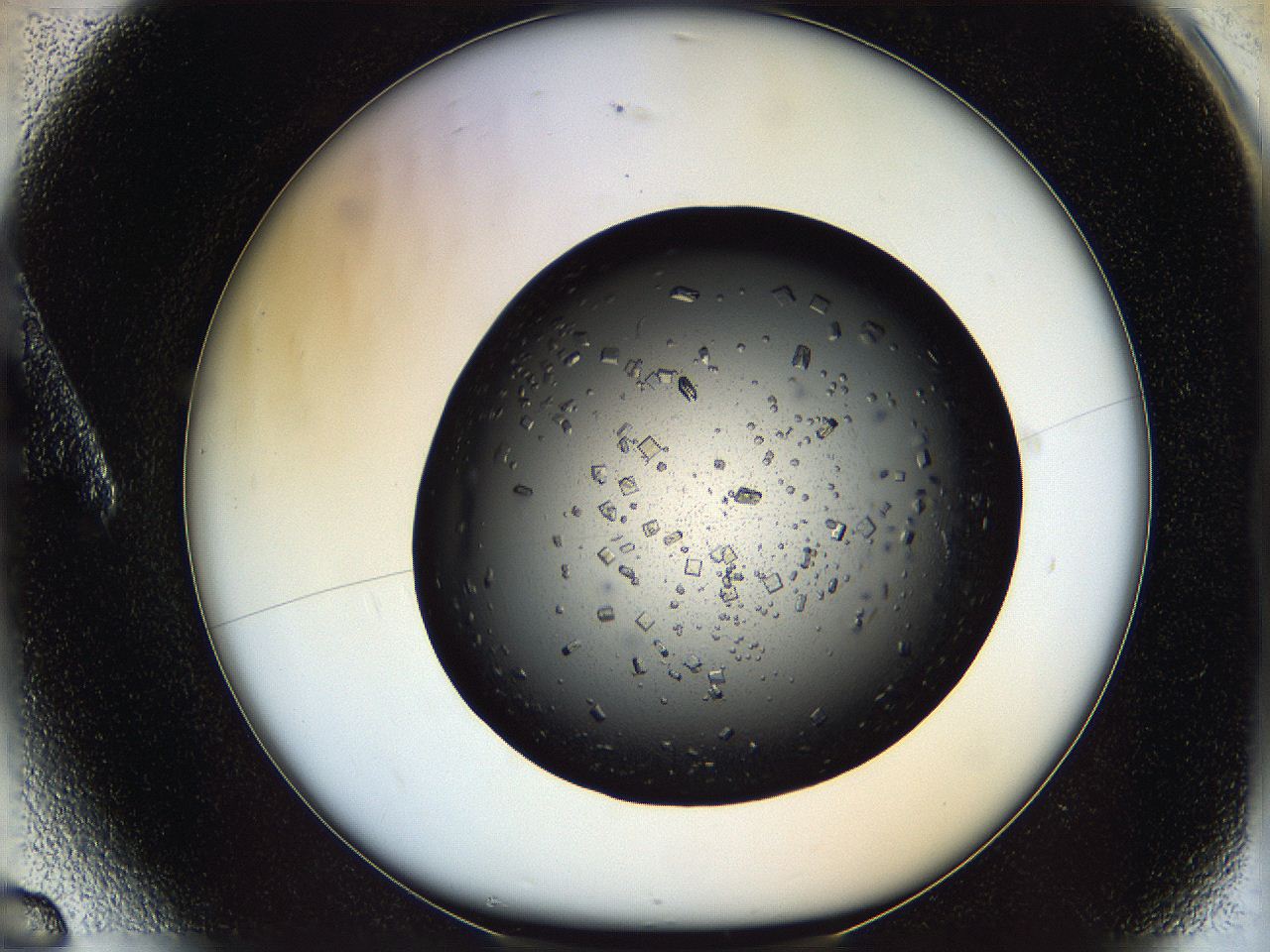 05ng_A6_ImagerDefaults_8.jpg