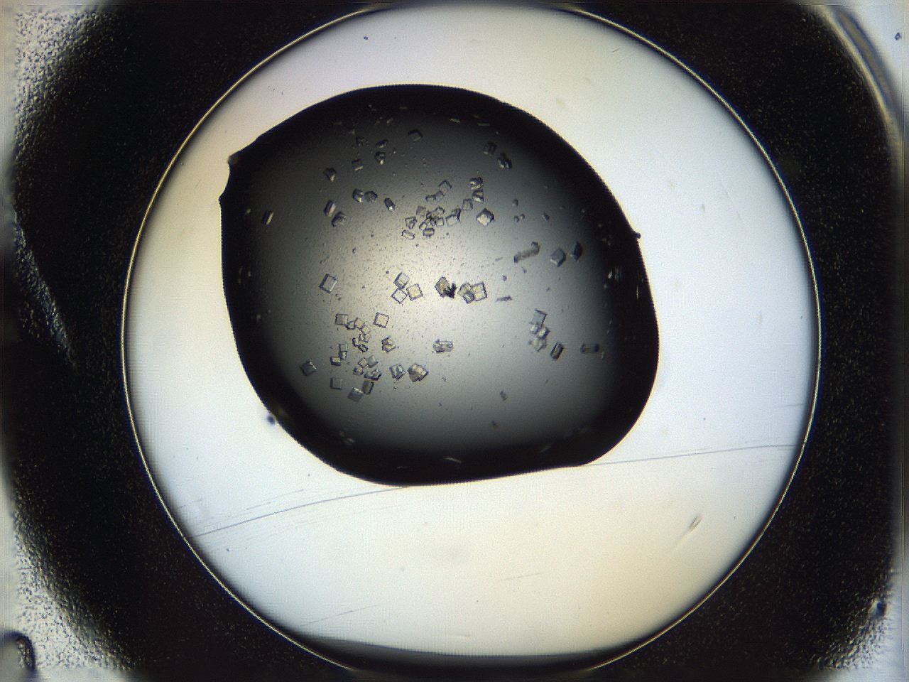 05ng_A4_ImagerDefaults_8.jpg