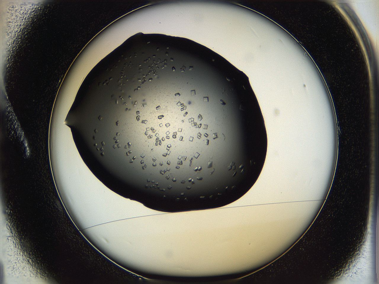 05ng_A1_ImagerDefaults_8.jpg
