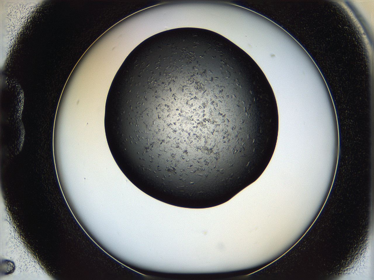 05ni_B5_ImagerDefaults_7.jpg