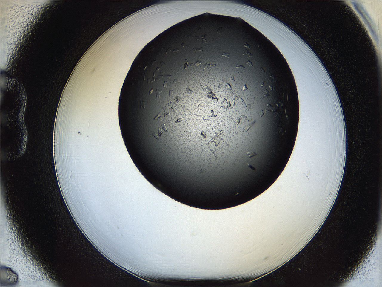 05ni_B6_ImagerDefaults_7.jpg