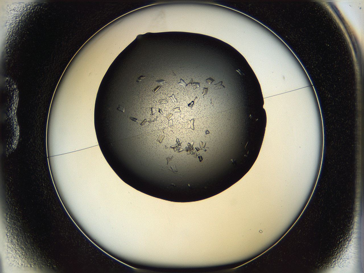 05ni_B1_ImagerDefaults_8.jpg