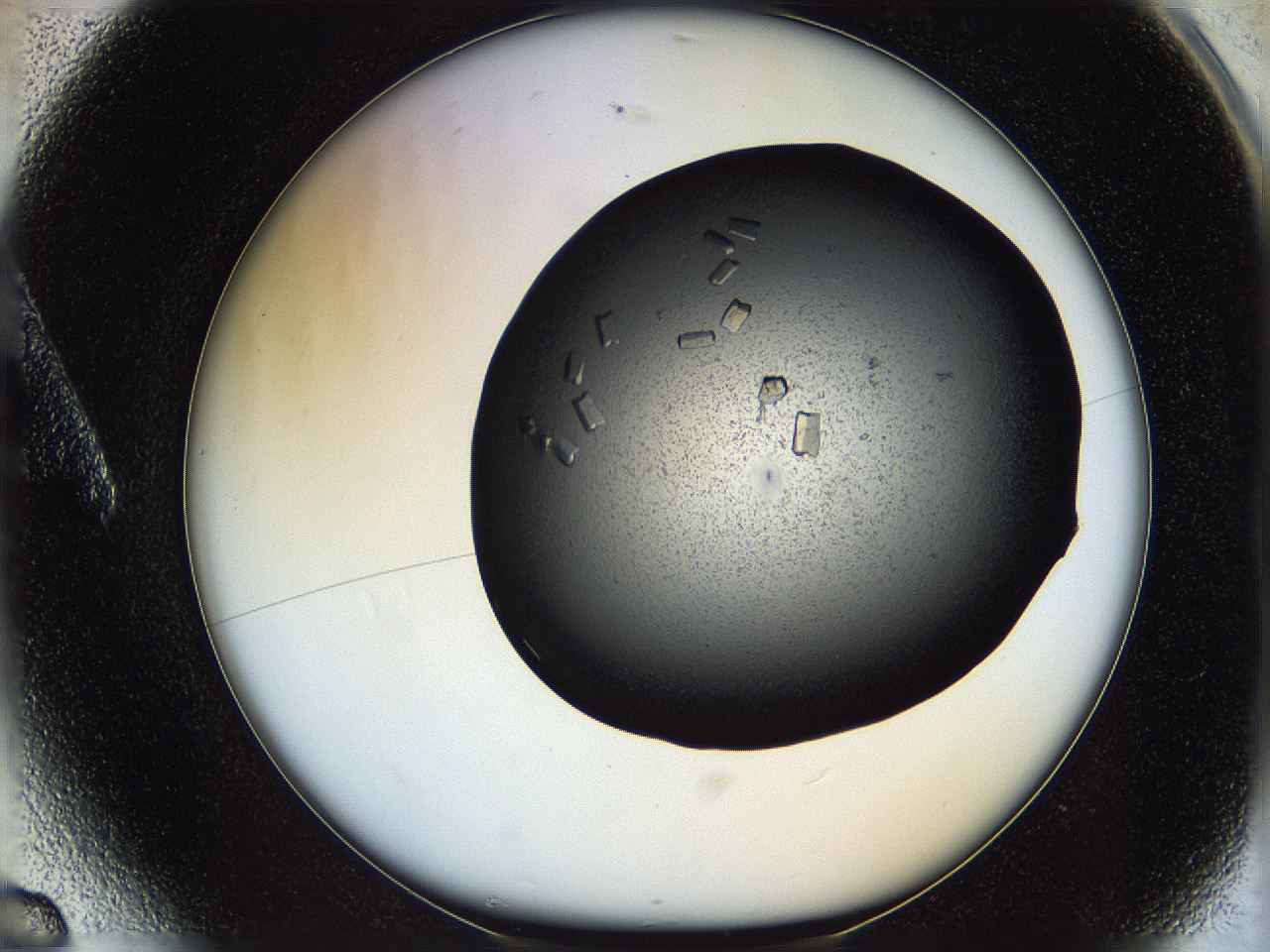 05ni_A6_ImagerDefaults_9.jpg
