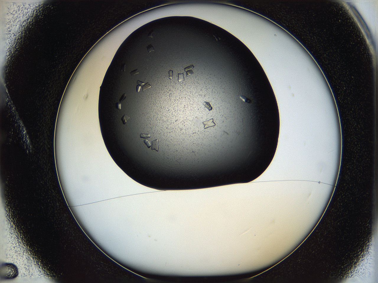 05ni_A5_ImagerDefaults_8.jpg