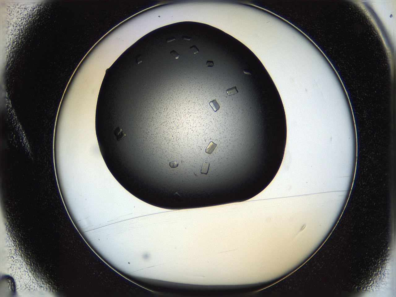 05ni_A4_ImagerDefaults_9.jpg