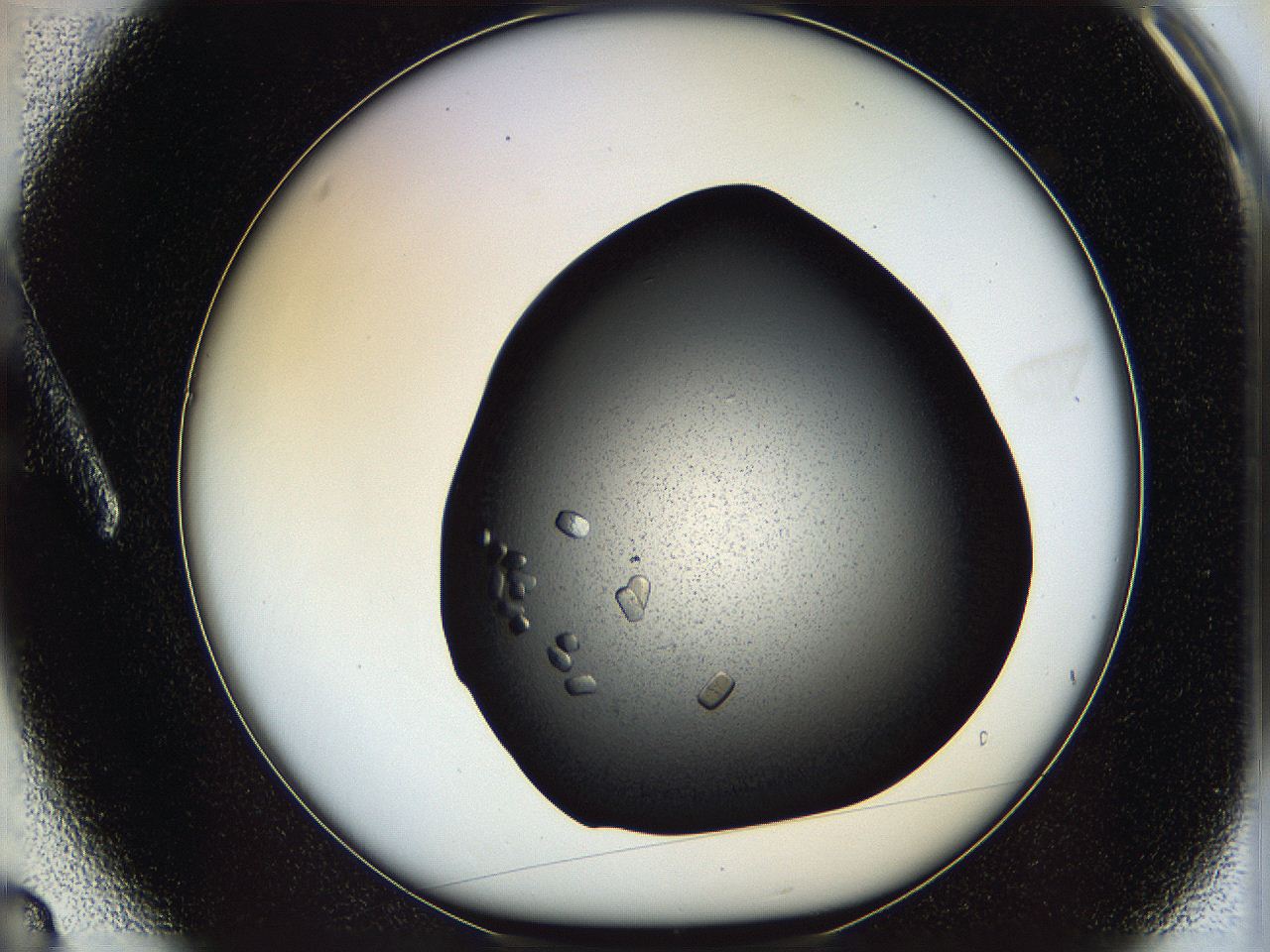 05ni_A3_ImagerDefaults_8.jpg