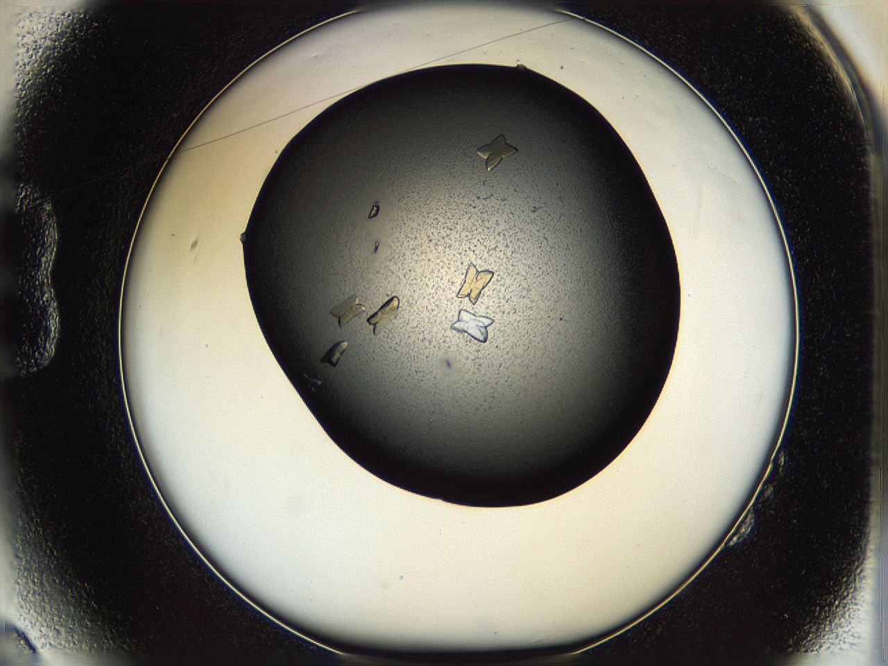 05ni_B2_ImagerDefaults_8.jpg