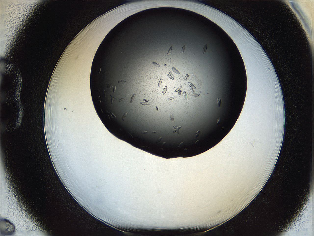 05nj_B6_ImagerDefaults_7.jpg